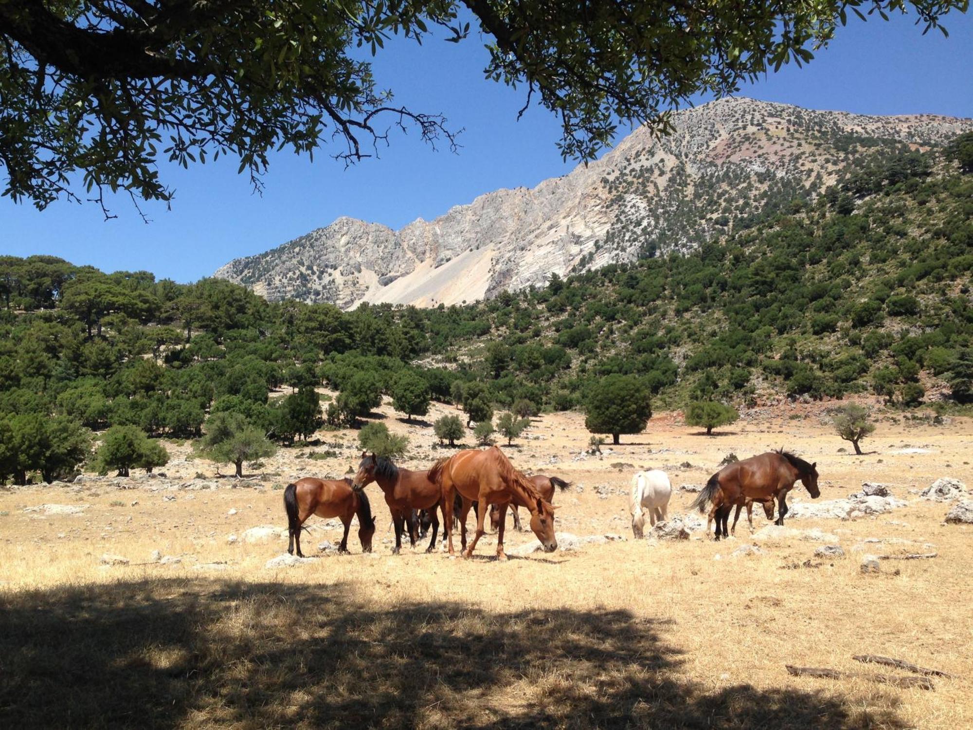 Babakamp Eco Ranch & Retreat Ξενοδοχείο Ολουντενίζ Εξωτερικό φωτογραφία